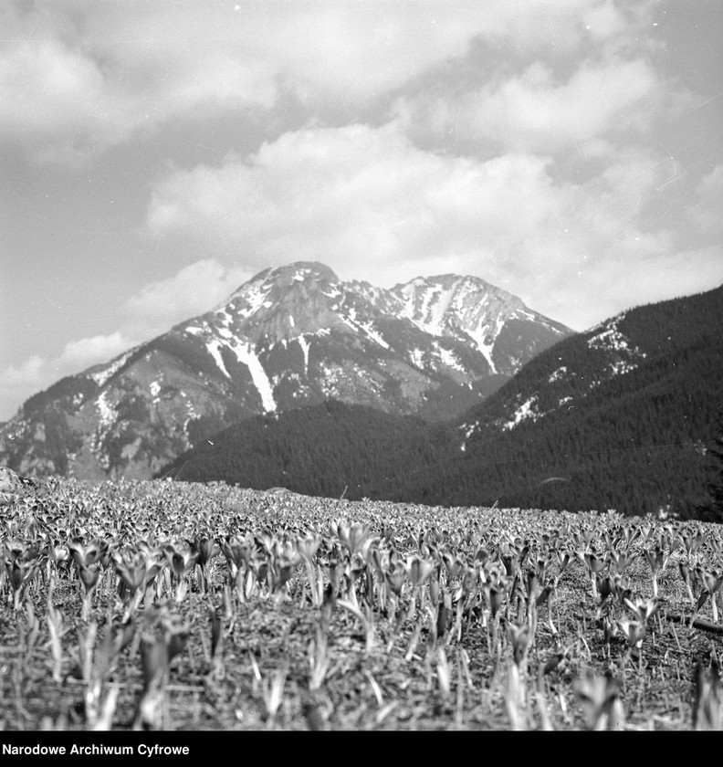 image.from.unit.number "Tatry"