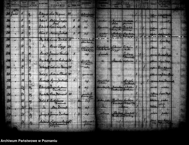 Obraz 14 z jednostki "Księga zgonów"