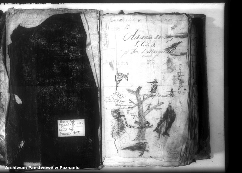 Obraz 3 z jednostki "Relationes [protocollon]"