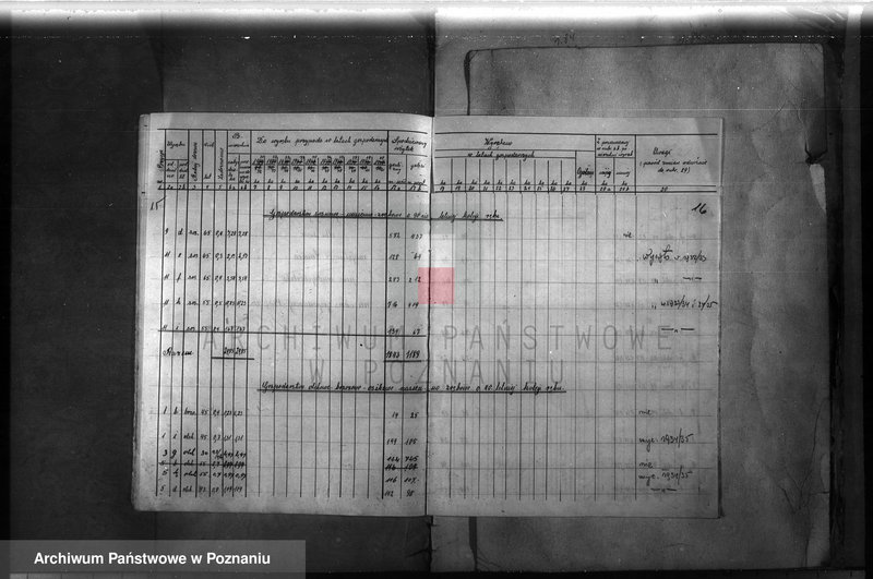 Obraz 16 z jednostki "Majętność leśna Ławica w powiecie międzychodzkim /plan urządzenia gospodarstwa leśnego/"