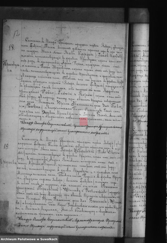 Obraz 16 z jednostki "Księga Urodzeń 1893-1894 Przerośl"