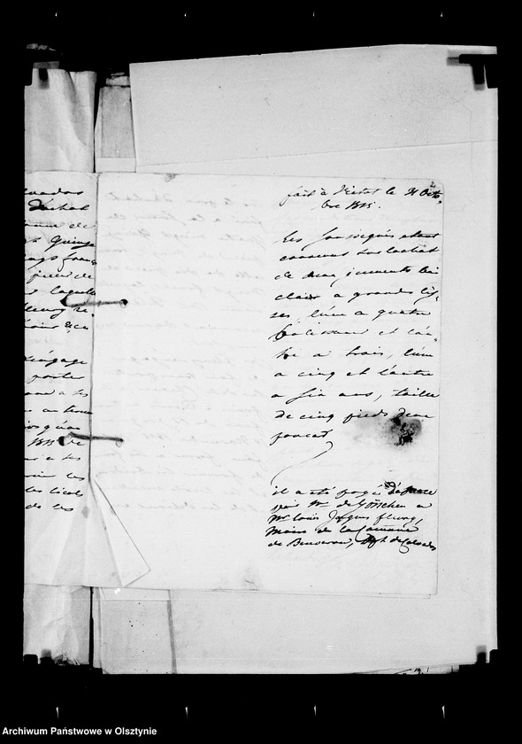 image.from.unit.number "/Hippologisches II. Korrespondenz betr. Pferde/"