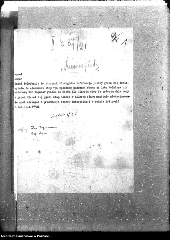 Obraz 5 z jednostki "Ziemiopłody"