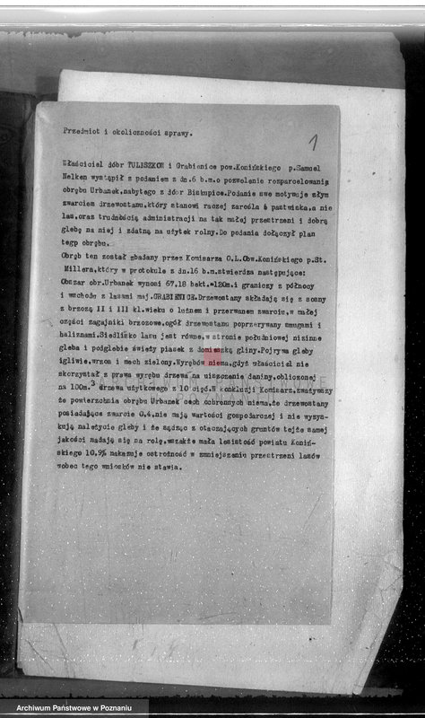 Obraz 5 z jednostki "Gmina Rzgów powiat koniński /nadzór nad gospodarką leśną/"