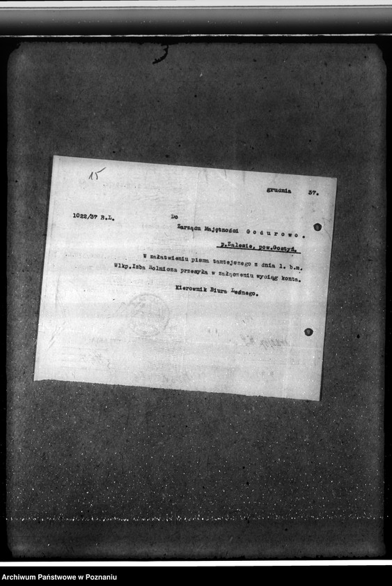 Obraz 19 z jednostki "Majętność leśna Godurowo w powiecie gostyńskim"