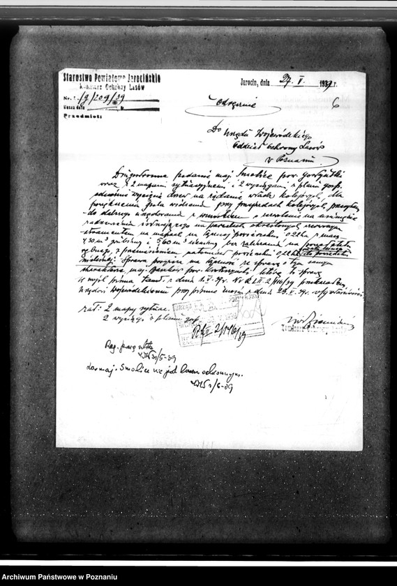 Obraz 10 z jednostki "Majętność leśna Smolice w powiecie gostyńskim"