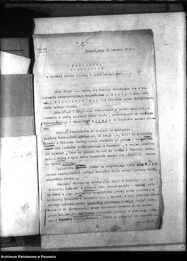 Obraz 8 z jednostki "Zaraza płucna - Poznań-Wschód"