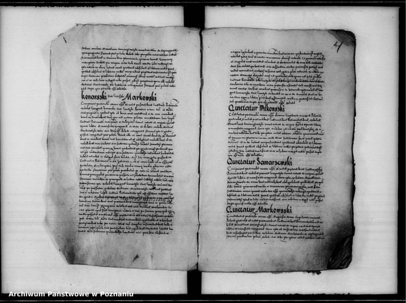 Obraz 9 z jednostki "Inscriptiones, relationes [inducta]"