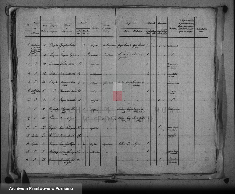 image.from.unit.number "Duplikat baptisatorum, copulatorum, mortuorum"