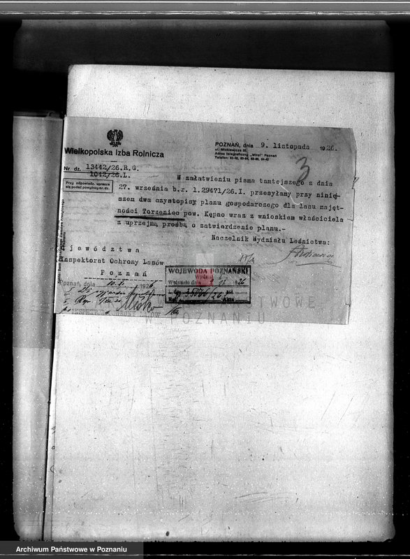 Obraz 7 z jednostki "Nadzór nad gospodarką w lasach majętności Torzeniec powiat kępiński"