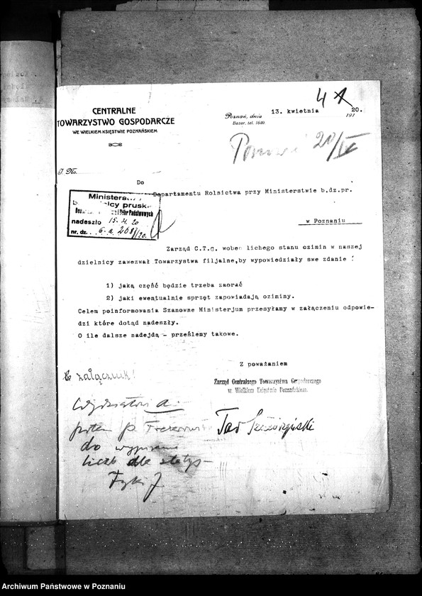 Obraz 8 z jednostki "Ziemiopłody - generalia"