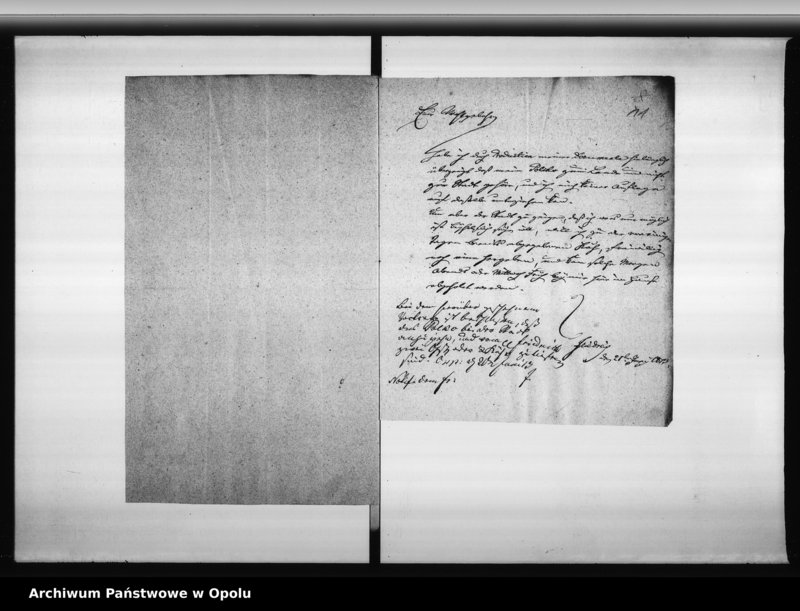 Obraz 13 z jednostki "Acta des Magistrats zu Oppeln ueber die Frage ob die ehemalige Minoritten Innsel Polko zum Lande oder zum städtischen Verbande gehören? 1813"