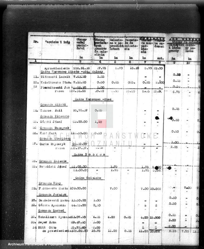 Obraz 9 z jednostki "Zalesienie nieużytków w powiecie bydgoskim"