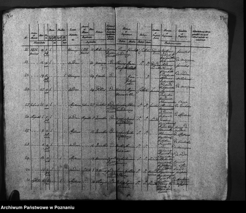 image.from.unit.number "Duplicatus baptisatorum, copulatorum, mortuorum"