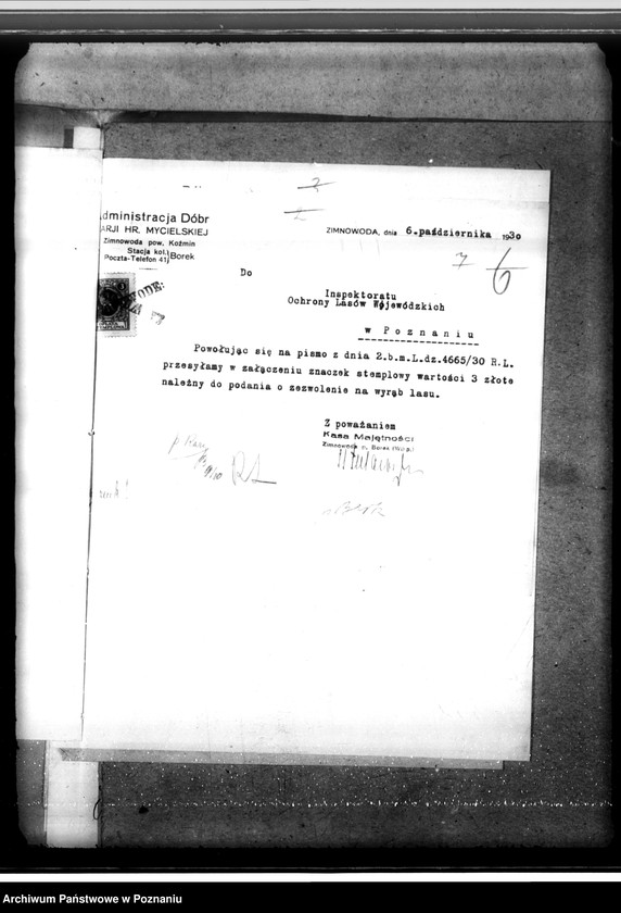 Obraz 11 z jednostki "Majętność leśna Zimnawoda w powiecie gostyńskim"