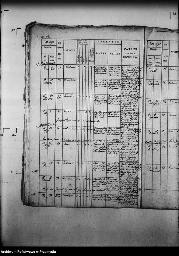Obraz 19 z jednostki "[Kopie ksiąg metrykalnych parafii Mochnaczka Niżna z filią Mochnaczka Wyżna (dekanat Muszyna)]"