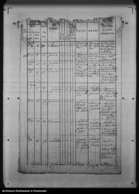 Obraz 12 z jednostki "[Kopie ksiąg metrykalnych parafii Daliowa z filią Szklary (dekanat Rymanów)]"