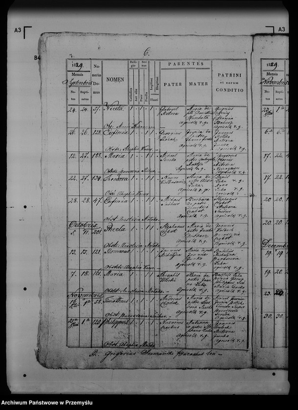 Obraz 11 z jednostki "[Kopie ksiąg metrykalnych parafii Dziewięcierz (dekanat Rawa Ruska)]"