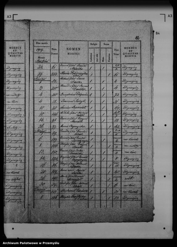 Obraz 17 z jednostki "[Kopie ksiąg metrykalnych parafii Werchrata z filią Prusie (dekanat Rawa Ruska)]"