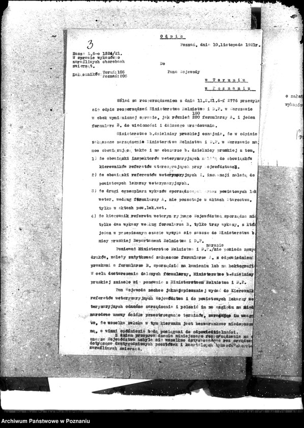 Obraz 7 z jednostki "Weterynaria"