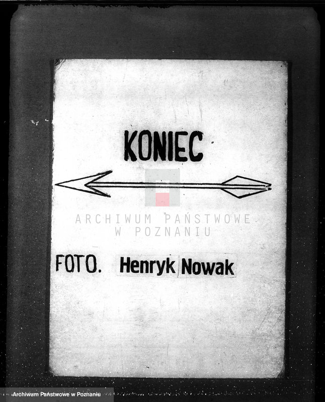 Obraz 13 z jednostki "Nadzór nad gospodarką w lasach L. Kanteckiego Kania powiat ostrowski"