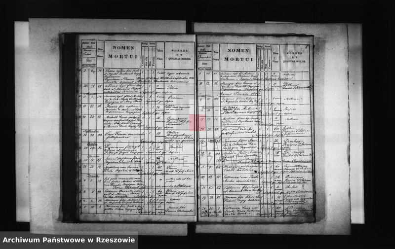 image.from.unit.number "Księga zgonów - Borek Stary"