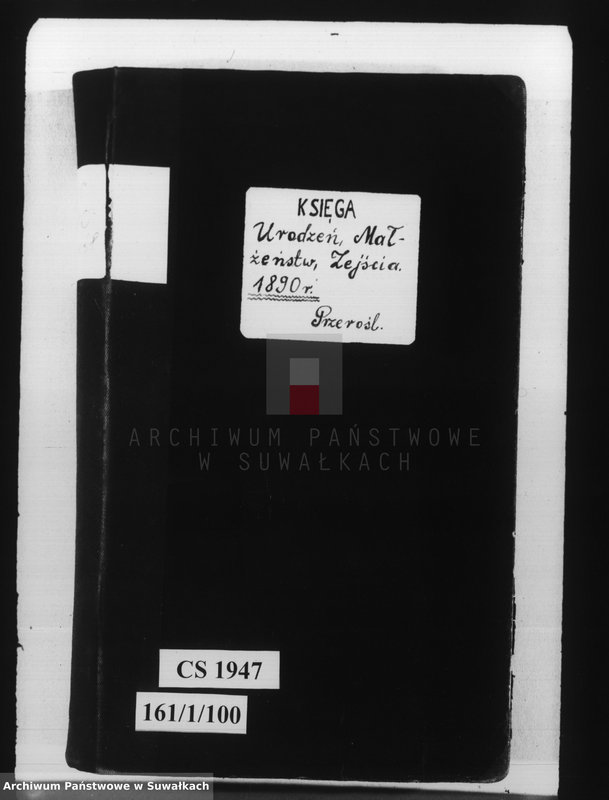 image.from.unit.number "Księga urodzeń, małżeństw i zejścia 1890 r. Przerośl"