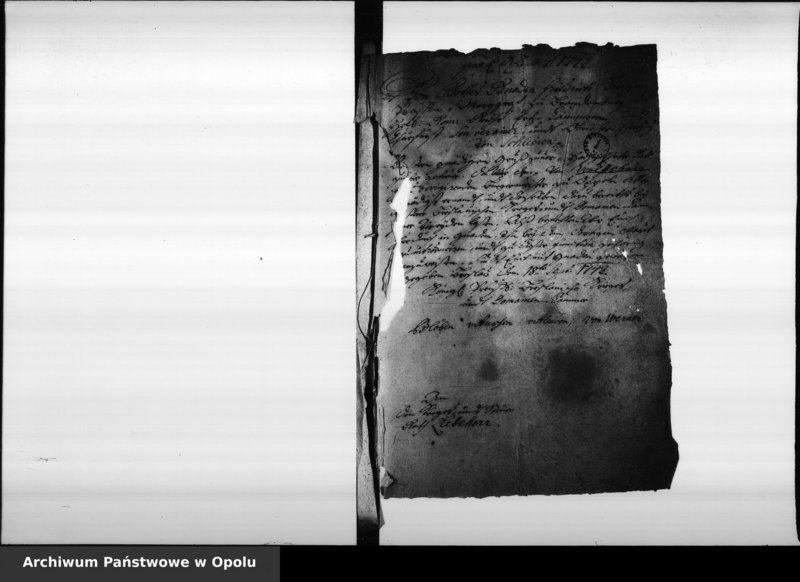 Obraz 5 z jednostki "Acta des Magistrats zu Oppeln betreffend die Anstellungen der Rathhauslichen Officianten, deren Gehalt, geleisteten Caution der Cassen Officianten und resspective deren Wiederversetzung oder Ableben Vol. I"