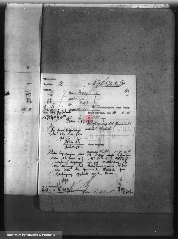 Obraz 18 z jednostki "Las gminy Olszewo powiat ostrowski"