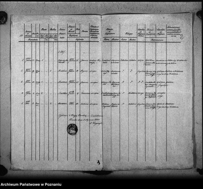 Obraz z jednostki "Duplicat baptisatorum"