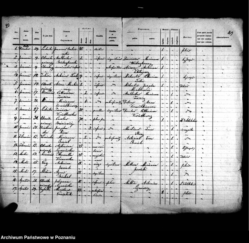 image.from.unit.number "Liber baptisatorum, copulatorum, mortuorum"
