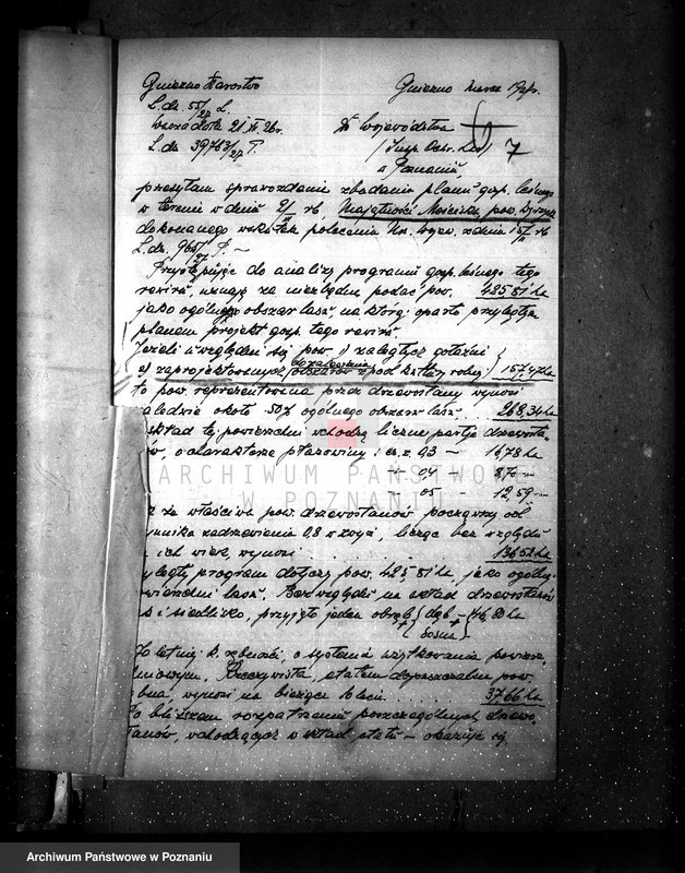 Obraz 11 z jednostki "Majętność leśna Kostrzynek-Mościska powiat wyrzyski"