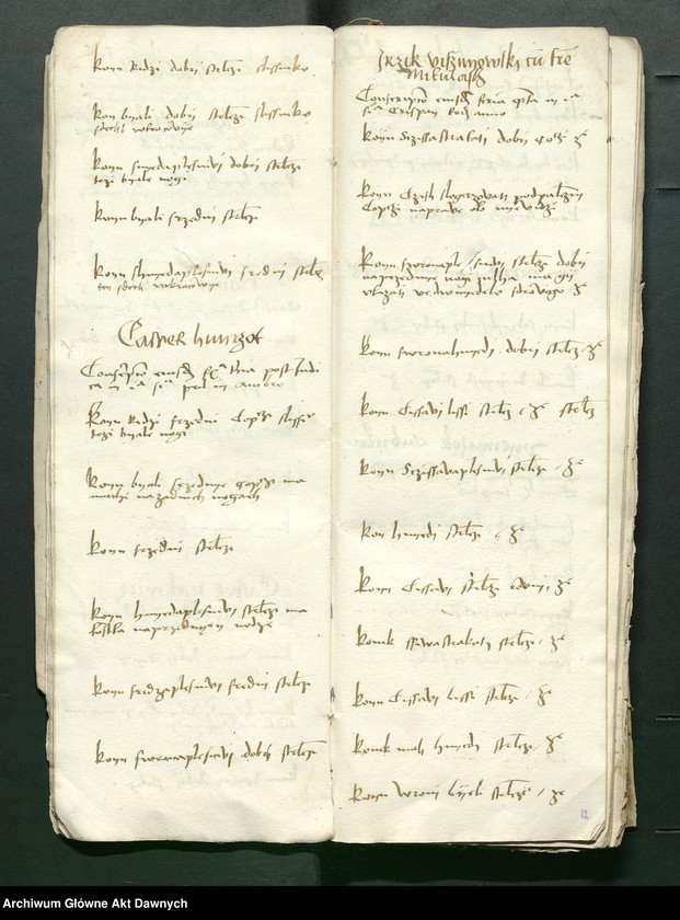 image.from.unit.number "Conscripcio curiensium et cubiculariorum Rmtis AD 1497 in Radom per Petrum Shidlo[wyeczki]."