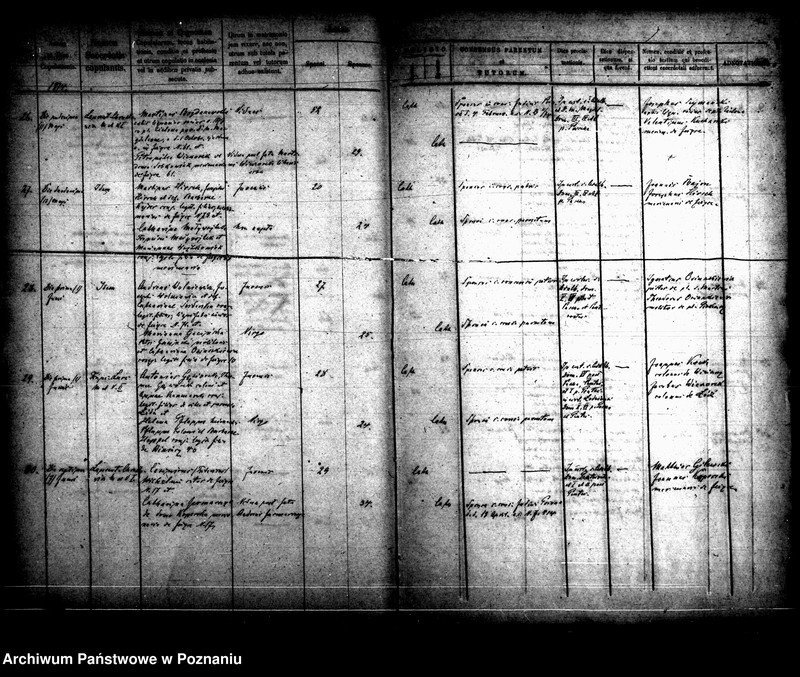 Obraz 9 z jednostki "Księga małżeństw"