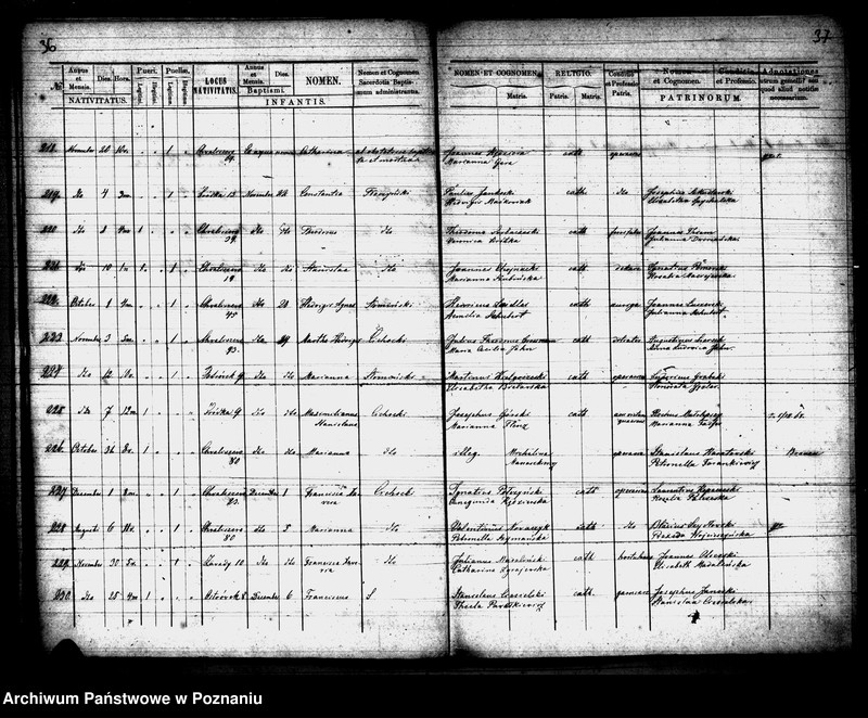 Obraz 20 z jednostki "Księga urodzeń"