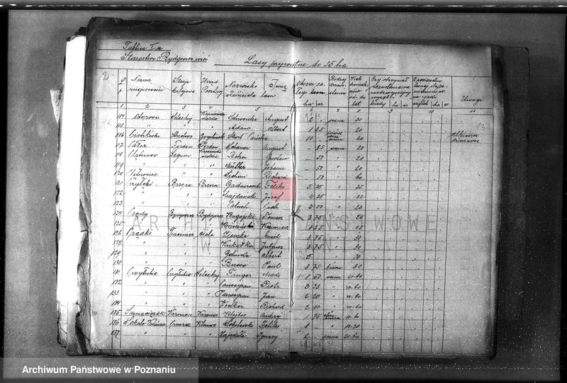 Obraz 11 z jednostki "/Lasy prywatne/ Spis według powiatów"