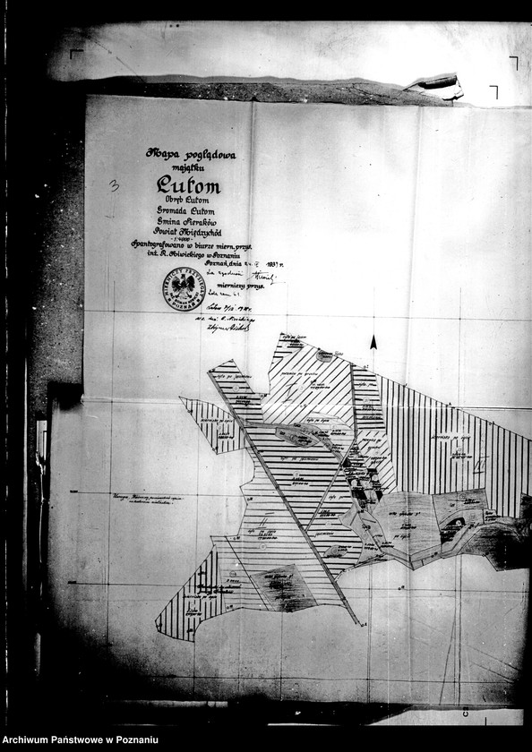 Obraz 7 z jednostki "Rejestr zasiewów majątku Lutom"