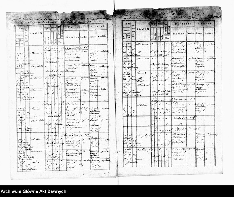 image.from.unit.number "Parafia: Mosty Wielkie. Dekanat: Bełz. Ekstrakty z księgi metrykalnej urodzeń, ślubów i zgonów dla miasta Mosty Wielkie i wsi: Butyny, Chlewczany*, Domaszów*, Przystań, Rekliniec, Dworce, Maziarnia**, Stanisłówka, Sałasze*, Strzemień, Wolica, Choronów*."