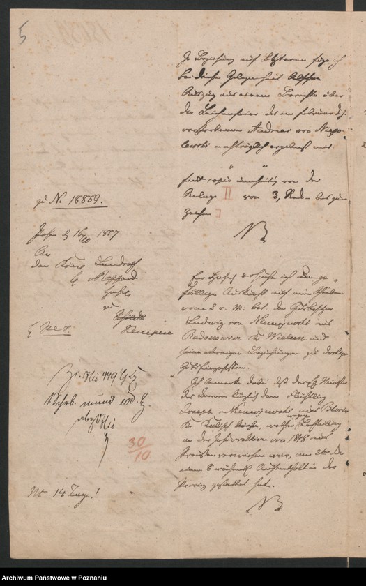 Obraz 8 z jednostki "A. betr. Josef Niemojewski, Gutsbesitzer"