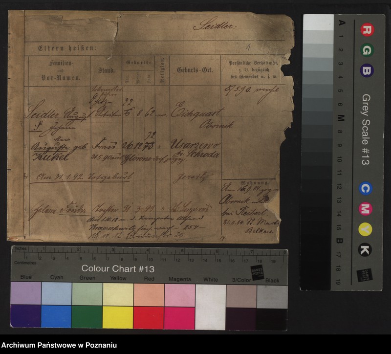 Obraz 6 z jednostki "Sajdler - Sajfrid (Się...)"