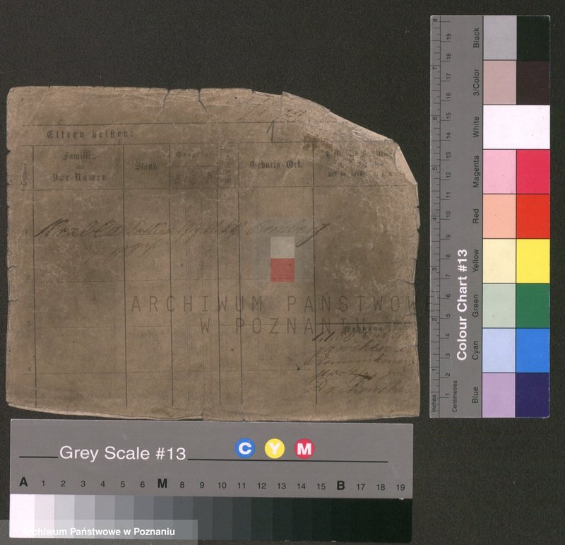 Obraz 1 z jednostki "Mrabla - Mróz"