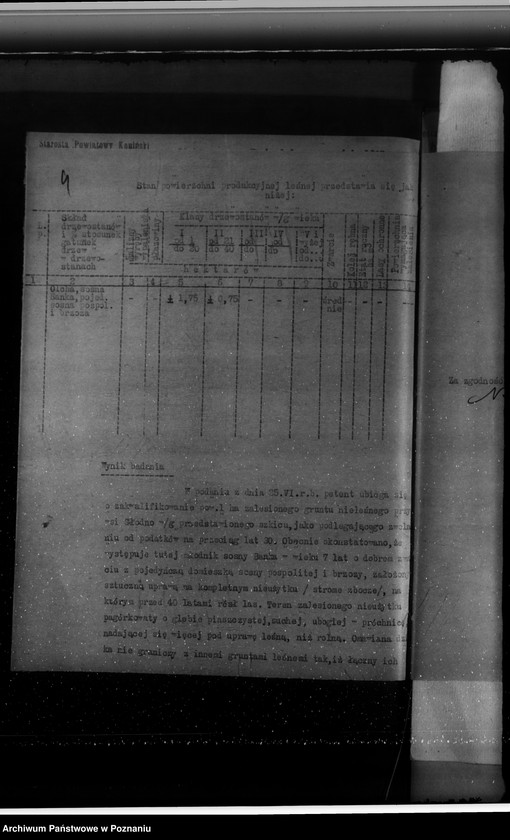 Obraz 8 z jednostki "Gmina Brzeźno powiat koniński /nadzór nad gospodarką leśną/"