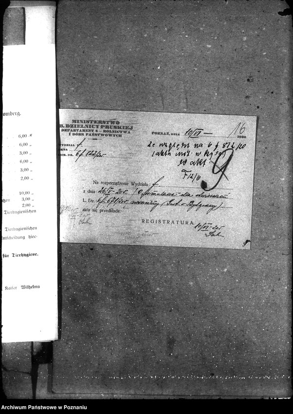 Obraz 19 z jednostki "Sprawy szczegółowo-Nosacizna"