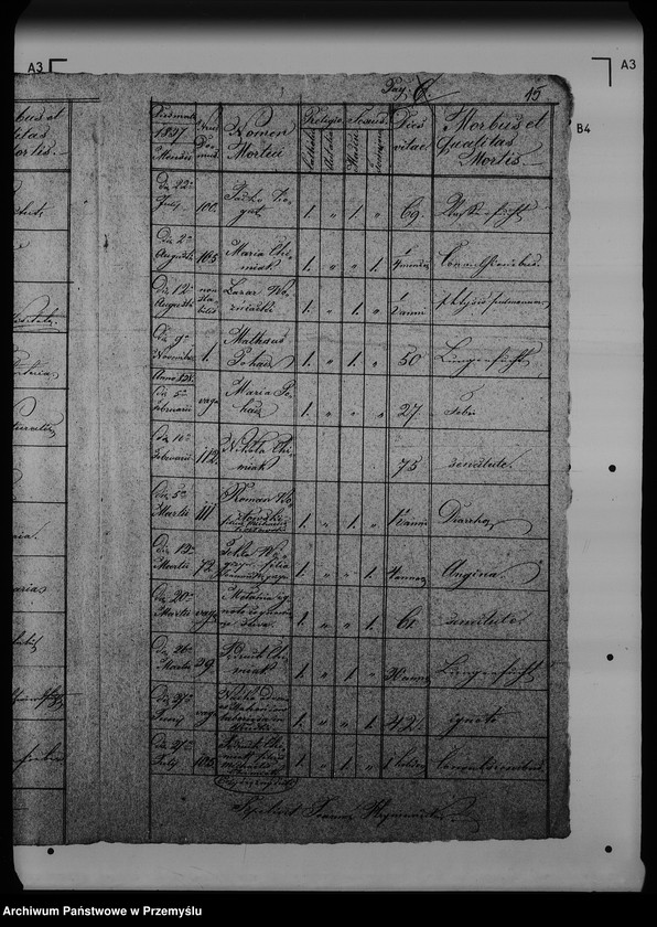 Obraz 19 z jednostki "[Kopie ksiąg metrykalnych parafii Rudki (dekanat Rudki)]"