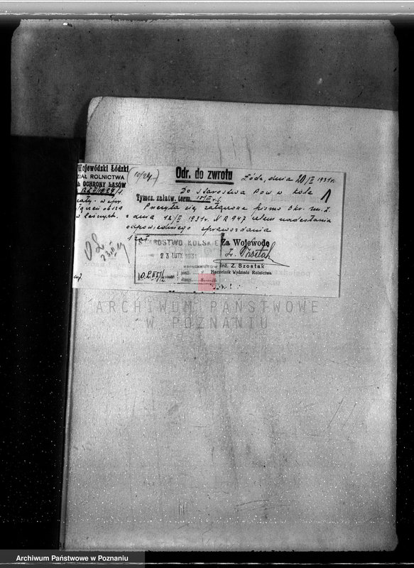 Obraz 5 z jednostki "Sprawa lasów majątku Sacały powiat kolski gmina Koźmin"