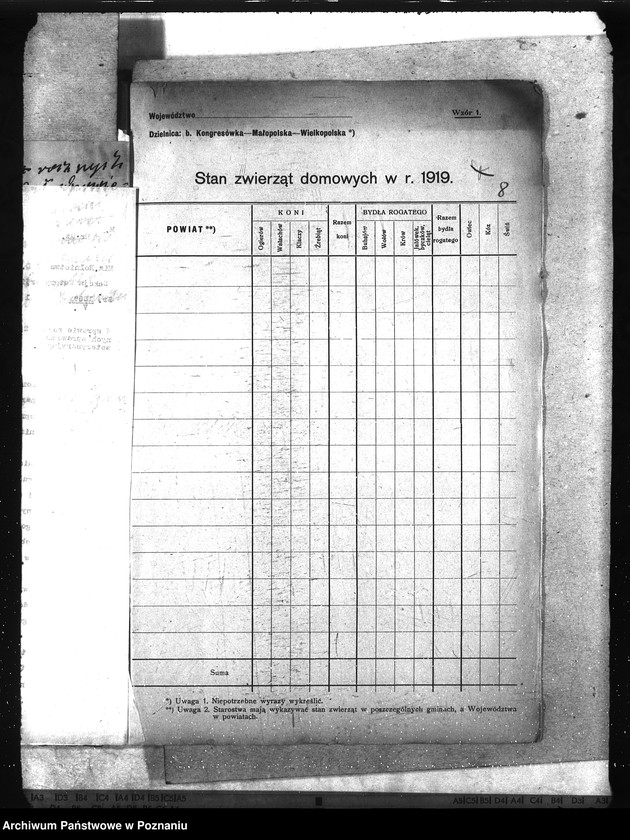 Obraz 12 z jednostki "Sprawozdania roczne"