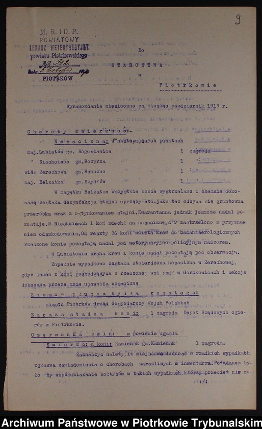 image.from.collection.number "Powiat piotrkowski w pierwszych miesiącach niepodległości - 1919 r."