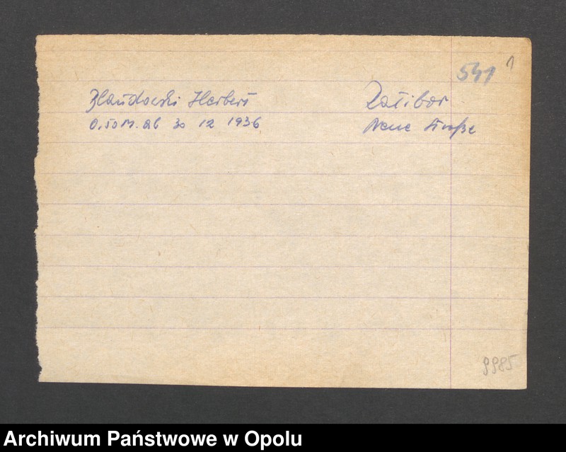 Obraz 3 z jednostki "[Blandowski Herbert, Ratibor]"