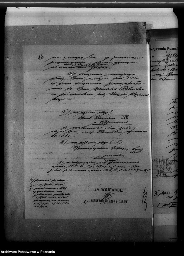 image.from.unit.number "Majętność leśna Kromolice powiat krotoszyński"
