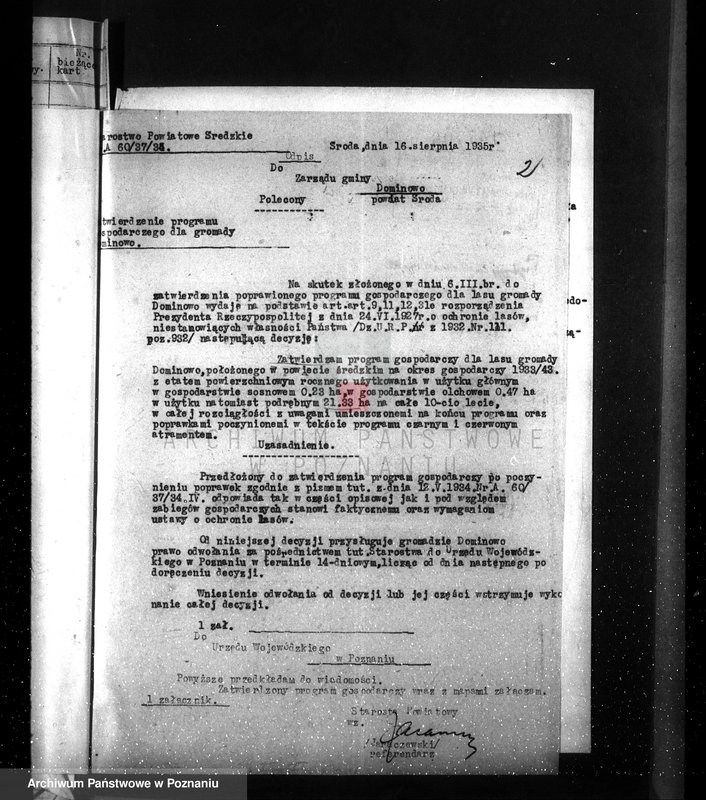 Obraz 6 z jednostki "Las gromady Dominowo powiat średzki"